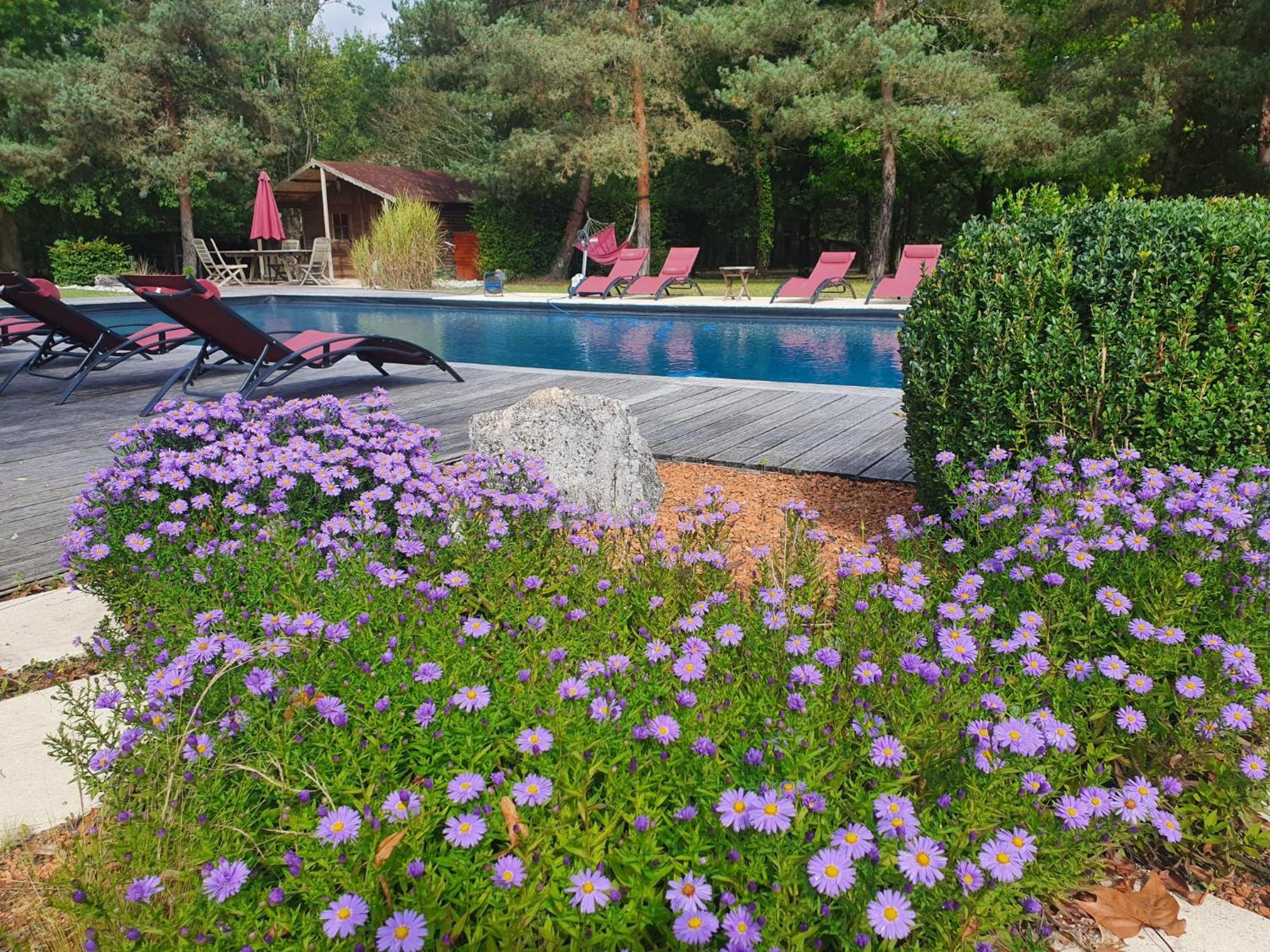 Vila Domaine De Grand-Pas Vernou-en-Sologne Exteriér fotografie